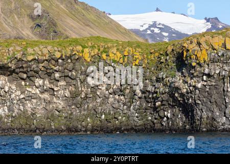 Küste mit Vogelklippe und Vulkan Snæfellsjökull von der Wasserseite aus gesehen. Arnastapi, Hellnar, Snæfellsbær, Halbinsel Snæfellsnes, Island Stockfoto