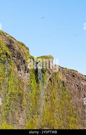 Küste mit Vogelklippe und Wasserfall vom Wasser aus gesehen. Arnastapi, Hellnar, Snæfellsbær, Halbinsel Snæfellsnes, Westisland Stockfoto