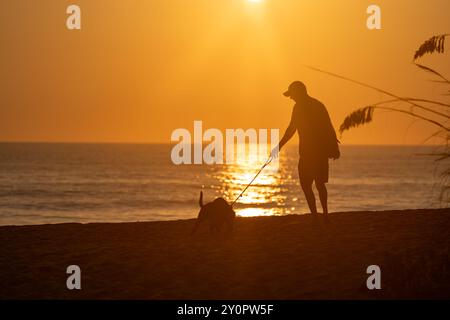 Sonnenaufgang-Silhouette eines Mannes, der mit seinem schwarzen labrador-Retriever-Hund am Strand spaziert. Nags Head North Carolina Stockfoto