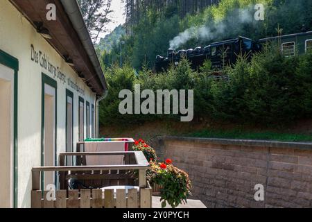 Ein von einer Dampflok gezogener Zug der Zittauer Schmalspurbahn fährt am Hotel Teufelsmühle in Oybin Landkreis Görlitz im Zittauer Gebirge in Sachsen vorbei. *** Ein von einer Dampflokomotive gezogener Zug auf der Schmalspurbahn Zittau passiert das Hotel Teufelsmühle in Oybin im Landkreis Görlitz im sächsischen Zittau-Gebirge Stockfoto