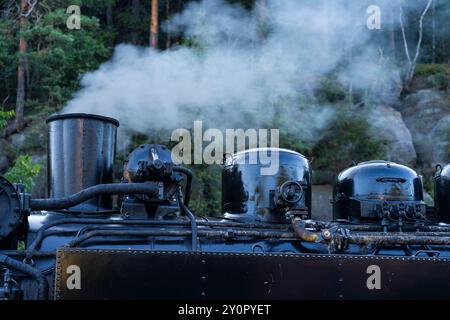 Detail einer Dampflok der Zittauer Schmalspurbahn auf dem Bahnhof Oybin Landkreis Görlitzim Zittauer Gebirge in Sachsen. *** Detail einer Dampflokomotive der Schmalspurbahn Zittau am Bahnhof Oybin im Landkreis Görlitz im sächsischen Zittauer Gebirge Stockfoto