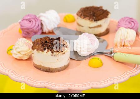 Köstliche Tiramisu-Kuchen auf einem Teller. Nachtisch Stockfoto