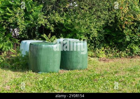 Vier große grüne Kunststoffballen liegen in einem grasbewachsenen Gebiet, umgeben von Bäumen und Sträuchern. Das Sonnenlicht hebt die Ballen hervor und erzeugt eine ruhige Ackerkultur Stockfoto