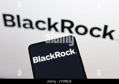 Paraguay. September 2024. In dieser Abbildung wird das BlackRock, Inc.-Logo auf einem Smartphone und im Hintergrund angezeigt. (Foto von Jaque Silva/SOPA Images/SIPA USA) *** ausschließlich für redaktionelle Nachrichten *** Credit: SIPA USA/Alamy Live News Stockfoto