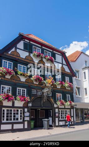 Fachwerkhaus Goldener Hahn Lippstadt Nordrhein-Westfalen, Nordrhein-Deutschland Stockfoto