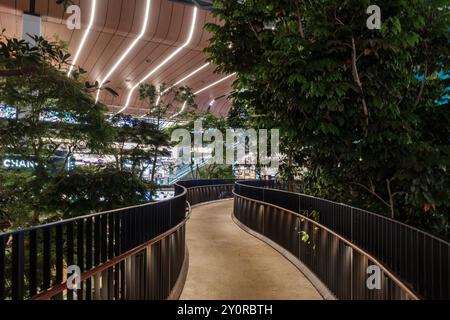 Doha, Katar - 29. August 2024: Der Orchard, der tropische Garten des Flughafens Doha. Stockfoto