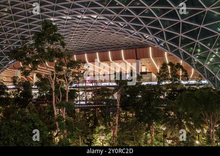 Doha, Katar - 29. August 2024: Der Orchard, der tropische Garten des Flughafens Doha. Stockfoto