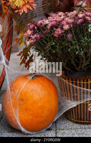 Herbst, Halloween-Kürbis, eingewickelt in Spinnennetze und Korb mit getrockneten lila Blumen Stockfoto