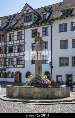 Der Gallusbrunnen am Gallusplatz, Klosterviertel, Altstadt von Sankt Gallen, Kanton St. Gallen, Schweiz, Europa Stockfoto