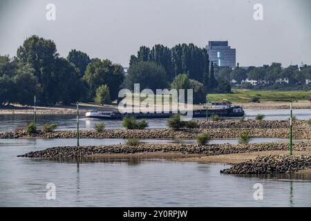 Leicht Niedrigwasser des Rheins, Schifffahrtsverkehr auf dem Rhein bei Düsseldorf, südlich der Rheinkniebrücke, Nordrhein-Westfalen, Deutschland, Euro Stockfoto