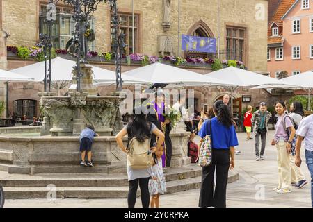 Der Gaenseliesel-Brunnen ist ein Markt- und Zierbrunnen auf dem Marktplatz vor dem Alten Rathaus im Stadtzentrum von Göttingen in L Stockfoto