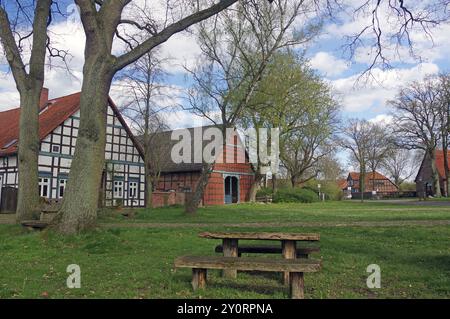 Picknicktisch unter Bäumen vor Fachwerkhäusern in ländlicher Umgebung im Frühjahr, Satemin, Rundlingsdorf, Wendland, Niedersachsen, Deutschland, Europ Stockfoto