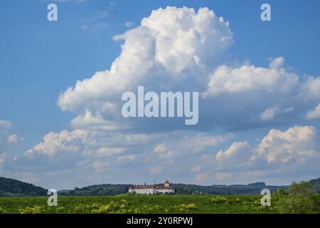 Schloss Woerth an der Donau mit riesigen Wolken über der Donau, Oberpfalz, Bayern, Deutschland, Europa Stockfoto