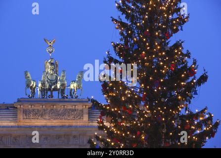 Berlin, 05.12.2010, geschmückter Weihnachtsbaum am Brandenburger Tor, Berlin, Deutschland, Europa Stockfoto