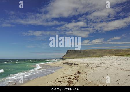 Ein sonniger Strand mit tiefblauem Wasser und Wellen, umgeben von Klippen und hellem Himmel, Latrabjarg, Halbinsel Vestfirðir, Island, Europa Stockfoto