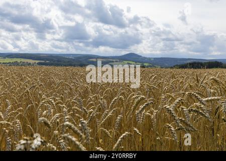 Gewitterwolken über Feldern bei Liebenau, Erzgebirge, Liebenau, Sachsen, Deutschland, Europa Stockfoto