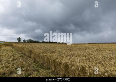 Gewitterwolken über Feldern bei Liebenau, Erzgebirge, Liebenau, Sachsen, Deutschland, Europa Stockfoto