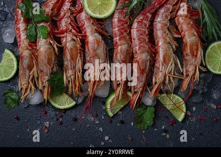 Langoustines, australisch, frisch gefroren auf Eis, Blick von oben, Limette und Grün Stockfoto