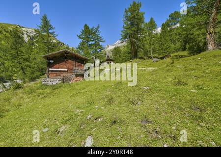 Almhütte mit Kapelle in den Kalser Tauern, blauer Himmel, schneebedeckte Berge, Dorfertal, Nationalpark hohe Tauern, Kals am Großglockner, Osttirol Stockfoto