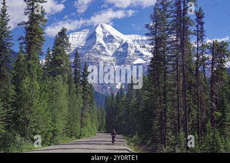 Eine schmale Straße führt zu einem schneebedeckten Berg unter blauem Himmel, Radfahrer, Mount Robson, British Columbia, Kanada, Nordamerika Stockfoto