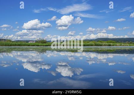 Donaulandschaft mit Reflexion der Landschaft und Wolken, Schloss Woerth an der Donau im Hintergrund, Oberpfalz, Bayern, GE Stockfoto