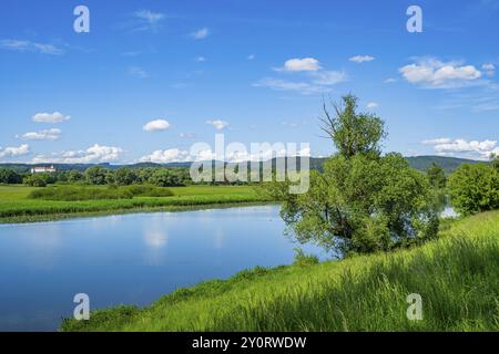 Donaulandschaft mit Reflexion der Landschaft und Wolken, Schloss Woerth an der Donau im Hintergrund, Oberpfalz, Bayern, GE Stockfoto