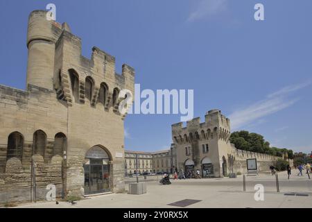 Historische Stadtmauer mit Wehrtürmen und Fußgängern, Stadtbefestigungen, Verteidigungsturm, Remparts, Avignon, Vaucluse, Provence, Frankreich, Eur Stockfoto