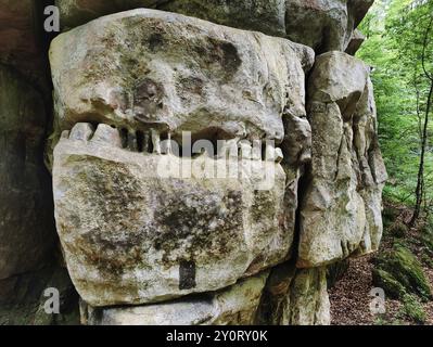 Bizarr verwitterter Sandstein, Detail, Müllerthal Trail, Müllerthal Region, Luxemburgs kleine Schweiz, Luxemburg, Europa Stockfoto