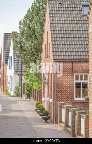 Kleine ruhige Gasse mit gemauerten Häusern, einem großen grünen Baum und Fenstern im typisch norddeutschen Architekturstil, Ditzum, ostfriesland, deutschland Stockfoto