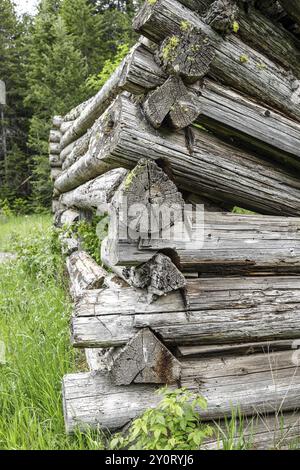 Die Ecke zeigt die Baumstämme einer alten Blockhütte in Ruinen in der Nähe von Athol, Idaho Stockfoto