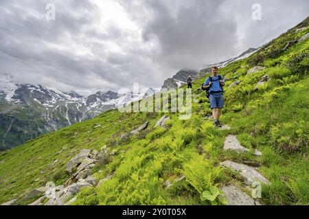 Bergsteiger zwischen grüner Vegetation auf einem Wanderweg, bewölkte Berggipfel im Stillupptal, Zillertaler Alpen, Tirol, Österreich, Europa Stockfoto