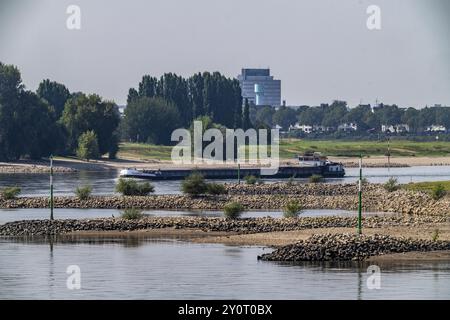 Leicht Niedrigwasser des Rheins, Schifffahrtsverkehr auf dem Rhein bei Düsseldorf, südlich der Rheinkniebrücke, Nordrhein-Westfalen, Deutschland, Euro Stockfoto