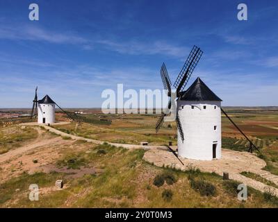 Zwei weiße Windmühlen mit schwarzen Dächern in einer weiten Landschaft von Feldern unter sonnigem Himmel, Luftsicht, Alcazar de San Juan, Ciudad Real, Castilla-La Manch Stockfoto