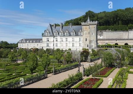 Historisches Schloss mit weitläufigem bewachsenen Garten, grünen Hecken und blühenden Pflanzen, Schloss Villandry, Renaissance, Touren, Loire-Tal, Centre-Val de Stockfoto