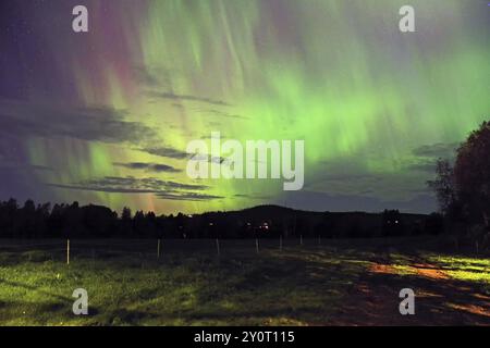 Schöne grüne und lila Aurora am Nachthimmel über einem dunklen Feld, die Sterne sichtbar, Vemdalen, Vaermland, Schweden, Europa Stockfoto