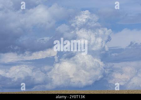 Gewitterwolken über Feldern bei Liebenau, Erzgebirge, Liebenau, Sachsen, Deutschland, Europa Stockfoto