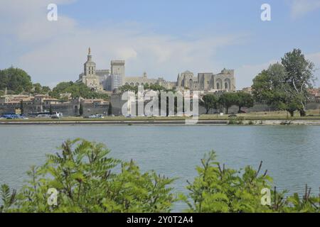 Blick über die Rhone zur Stadtlandschaft mit päpstlichem Palast und historischer Stadtmauer, Rhone, Avignon, Vaucluse, Provence, Frankreich, Europa Stockfoto
