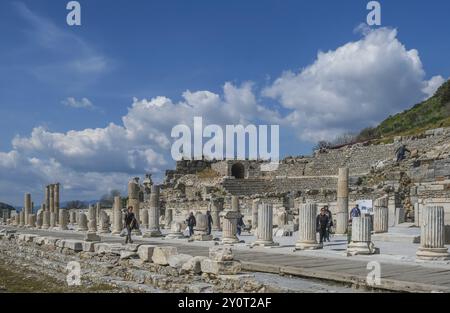 Bouleuterion oder Odeon, auch Odeion oder Odeum, kleines Amphitheater, Ausgrabungen, Ephesus, Ephesus, Efes, Provinz Izmir, Türkei, Asien Stockfoto