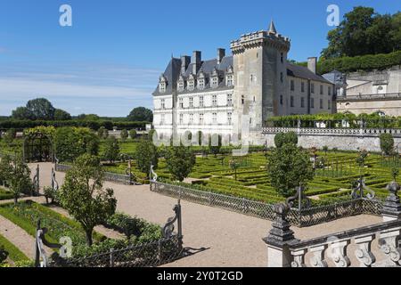 Historisches Schloss umgeben von einem bewachsenen Garten mit Hecken und gepflegten Wegen, Schloss Villandry, Renaissance, Touren, Loire-Tal, Centre-Val de Stockfoto