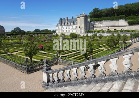 Ein Schloss mit einem herrlichen, symmetrischen Garten voller Blumen und Sträucher unter einem klaren blauen Himmel, Schloss Villandry, Renaissance, Tours, Loire-Tal, Stockfoto