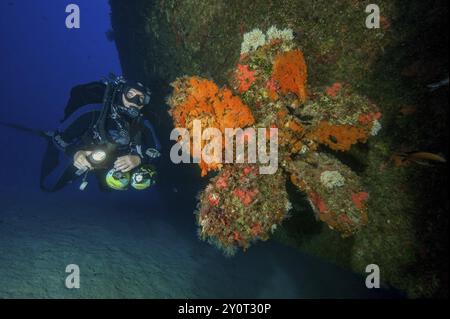 Taucher mit spezieller Ausrüstung Stufen zusätzliche Tauchzylinder für verschiedene Gasmischungen Atemgase für Tieftauchgänge Tieftauchen ins Meer Stockfoto