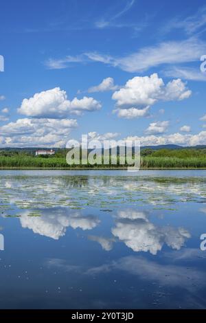 Donaulandschaft mit Reflexion der Landschaft und Wolken, Schloss Woerth an der Donau im Hintergrund, Oberpfalz, Bayern, GE Stockfoto