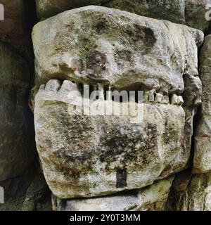 Bizarr verwitterter Sandstein, Detail, Müllerthal Trail, Müllerthal Region, Luxemburgs kleine Schweiz, Luxemburg, Europa Stockfoto