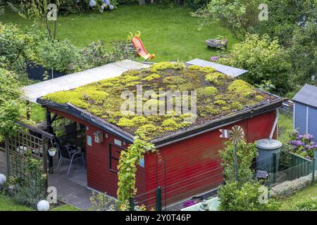 Pavillon mit Gründach, Kleingartengarten in Essen, Nordrhein-Westfalen, Deutschland, Europa Stockfoto