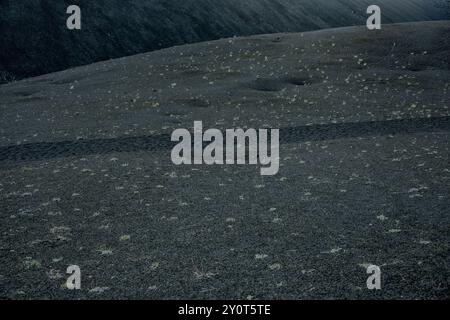 Der Weg Führt Durch Das Lava Bed Im Lassen Volcanic National Park Stockfoto