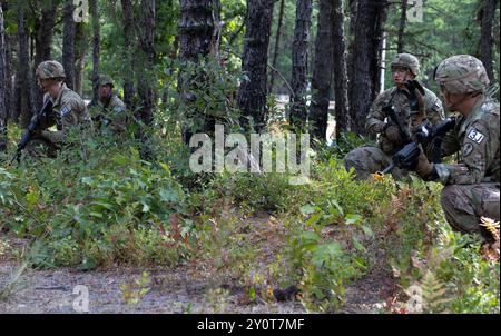 Die Besten Squad-Konkurrenten der Army Reserve bereiten sich darauf vor, eine Straße zu überqueren, während sie am 2. September 2024 am Joint Base McGuire-Dix-Lakehurst in New Jersey teilnehmen. Das Patrol and Recovery Event ist eines der Veranstaltungen, auf denen die Teilnehmer während des Best Squad Competition der Army Reserve bewertet werden. Soldaten der Army Reserve aus der ganzen Nation treten 2024 beim BSC an, einem jährlichen Wettbewerb, bei dem die besten Soldaten und Trupps aus der gesamten US Army Reserve zusammenkommen, um den Titel „Best Warrior“ und „Best Squad“ unter ihren Kollegen (U.S. Army Reserve P) zu verdienen Stockfoto