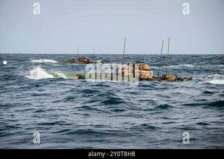 Amphibienfahrzeuge des US Marine Corps, die der Alpha Company, dem Battalion Landing Team 1/5, 15th Marine Expeditionary Unit, zugeordnet sind, führen einen Rücktransport zum Amphibienschiff USS Harpers Ferry (LSD 49) in Gewässern östlich von Südkorea durch, während Übung Ssang Yong 24. September 2024. Übung SY 24 stärkt die Republik Korea-USA Allianz durch bilaterale, gemeinsame Ausbildung, die zu kombinierten amphibischen Fähigkeiten zur Verteidigung der koreanischen Halbinsel beiträgt. (Foto des U.S. Marine Corps von Lance CPL. Peyton Kahle) Stockfoto