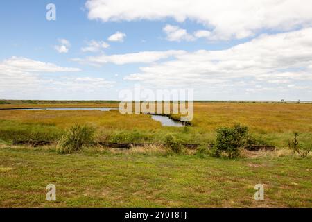 Der stellvertretende Sekretär der Armee für Zivilarbeiten und andere Mitglieder seines Stabs machen eine Tour durch die laufenden Chesapeake Bay's Island Restoration Projects, 20. August 2024 im Talbot County, Maryland. Stockfoto