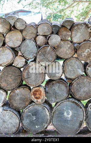 Vorrat an Baumstämmen, die für den Winter in Brennholz geschnitten werden Stockfoto