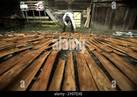 Ein Mann, der Zimt trocknet, bellt in der Sonne in Kayu Aro, Kerinci, Jambi, Indonesien. Stockfoto